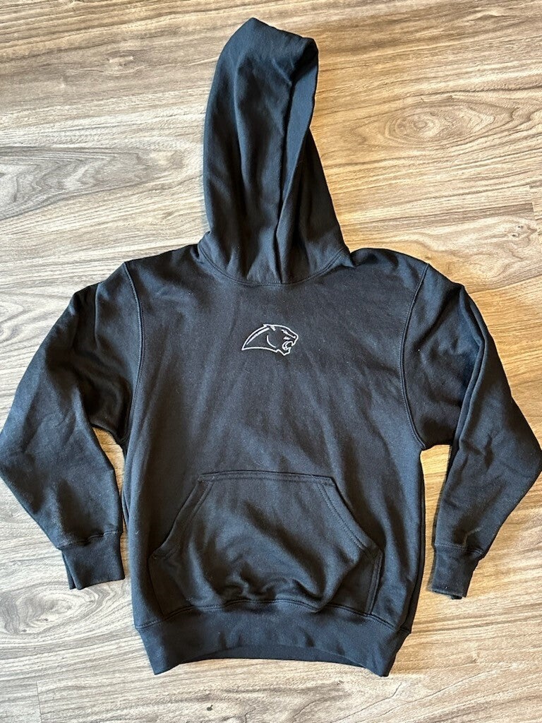 Carolina panthers youth hoodie clearance